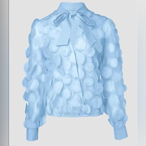 French Retro 3D Circle Detail Chiffon Bow Neck Tie Sheer Blouse Euro Billowy L - Picture 2 of 7